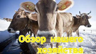 Обзор нашего хозяйства/ Как растут козлята и телочка/ Погода просто супер!🌷🙏