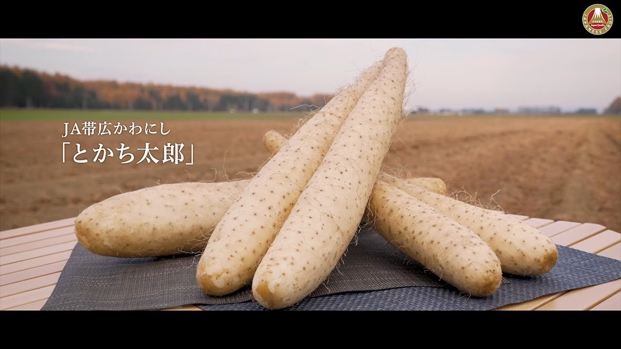 日本のながいもが届くまで From 帯広市川西農業協同組合 - YouTube