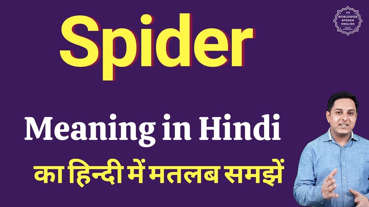 Spider meaning in Hindi | Spider ka kya matlab hota hai | daily use ...