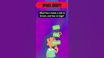 Can You Solve This Riddle Before Time Runs Out? ⏲️ #riddles #quiz #brainteasers