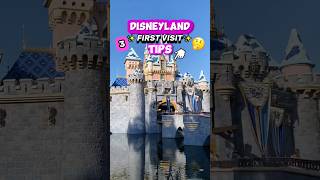 3 Disneyland Tips I WISH I Knew 😢🏰 (First Visit Tips & Tricks)