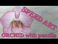 Orchid speed art, speed painting, drawing, time lapse
