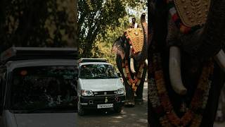 elephant in kerla temple🐘📉💜💢✨#kerala #song #viral #trendingshorts #vanlife #vibe #eecolover