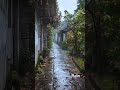 Heavy rain and thunder ⚡⚡ sound#nature #relxing #vairalvideo #rain #rainsound