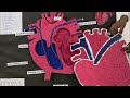 Anatomy Model Exhibition | Nursing Students Amazing Work 🔥