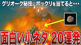 【ティアキン】面白い小ネタ20連発。グリオークの炎にハイラルボックリを当てるとどうなる？【ゼルダの伝説ティアーズオブザキングダム/豆知識】【ゆっくり解説】