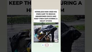Homeless Man Shelters Dogs in Storm with His Cart ❤️#DogRescue #Kindness #AnimalLove #Heartwarming