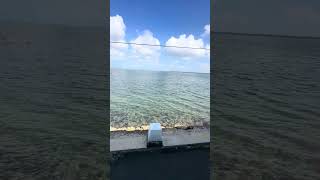 IMG 8204