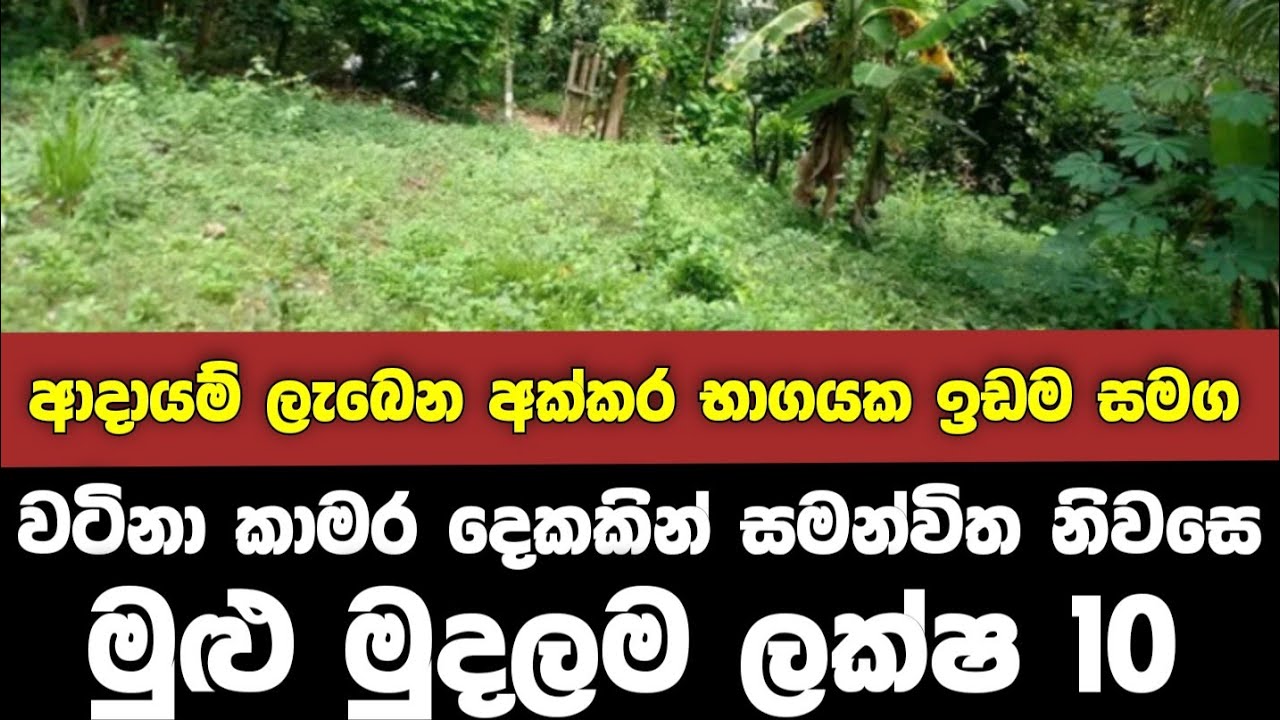 Low price land for sale House for sale in sri lanka Aduwata idam
