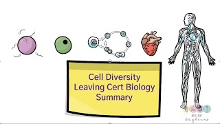 Cell Diversity Summary-Leaving Cert Biology