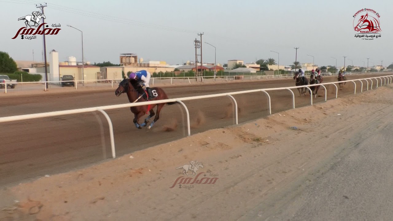 قيصر لـ أسطبل الحمود