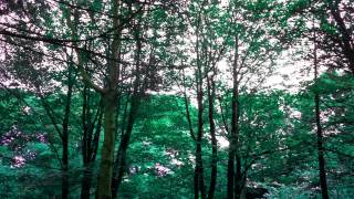 Phantasma: Rotational Authority | Free Dance Music | Royalty Free Music