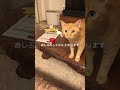 ちかい、ちかい、寄り過ぎ
