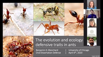 Benjamin Blanchard PhD Dissertation Defense