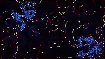 Animation on Dancing Bright Particles Field created with After Effects, No Copyright, Copyright Free