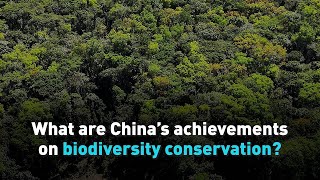 What are China’s achievements on biodiversity conservation?