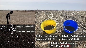 Need for Soil Test Nitrogen in Yield Goal Fertilizer Rate Calculations