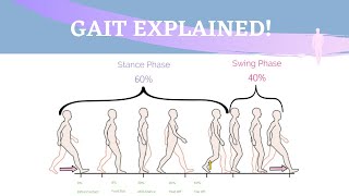 Gait Range of Motion Animation