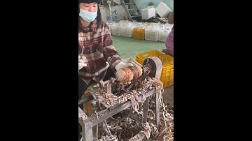 Peeling big taro quickly with DIY simple tool #shorts