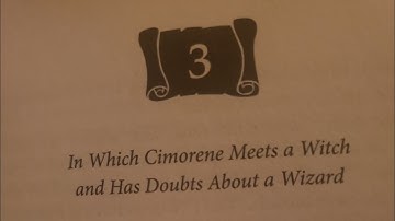 Enchanted Forrest Chronicles book 1: Dealing With Dragons chapter 3