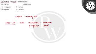 Persistent nucellus in the seed is known as NEET Z01T (a) perisperm...