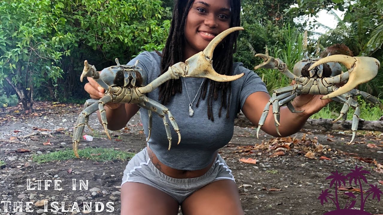 EPIC CRAB HUNT & THIS happened! – Outdoor Cooking #cooking #jamaica #crabcooking