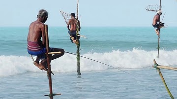 Our oceans can feed a BILLION people a meal each day | Oceana