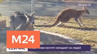 Рубрика Рубрика