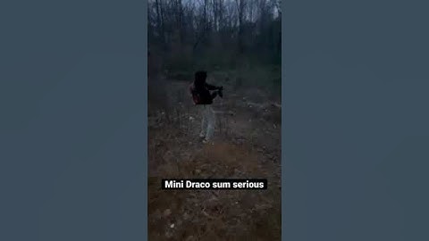 Mini Draco binary dump