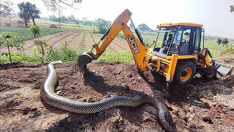 JCB 3dx Backhoe Loading Mud in Mahindra 475 Di tractor JCB miti khudai JCB working #jcb #jcbvideo