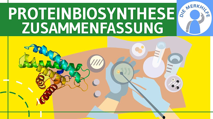 Wo findet die Translation bei Prokaryoten statt?