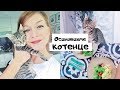 Осиновихме коте ❤ | ВЛОГ