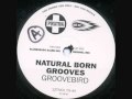 Video thumbnail for Natural Born Grooves - Groovebird (Klubbheadz Klubb Mix).wmv