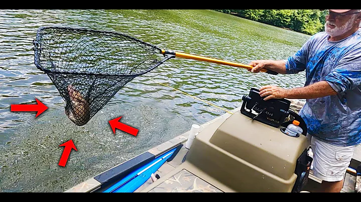 The BEST Eating Fish in The River ! ! ! (Catch and...