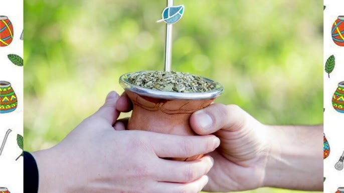 La yerba mate argentina recibe reconocimiento de Indicación Geográfica