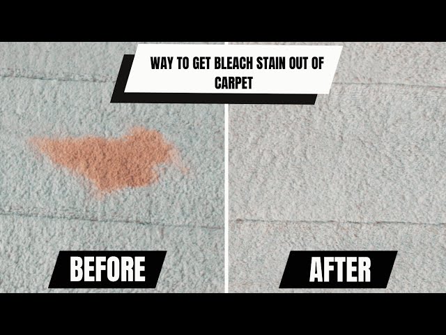 How To Remove Bleach Stains From Carpet You