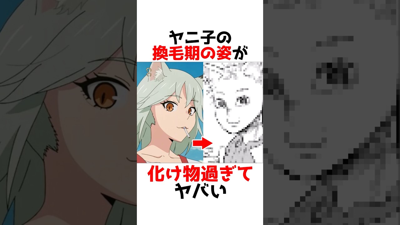 【ヤニねこ】換毛期に入ったヤニ子が化け物すぎるw #漫画 #アニメ #shorts