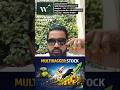 What is a Multibagger Stock? Simple Explanation for Beginners | Stock Market Basics