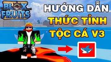 Hướng Dẫn Chi Tiết Thức Tỉnh Tộc Người Cá Lên V3 || Blox Fruits!