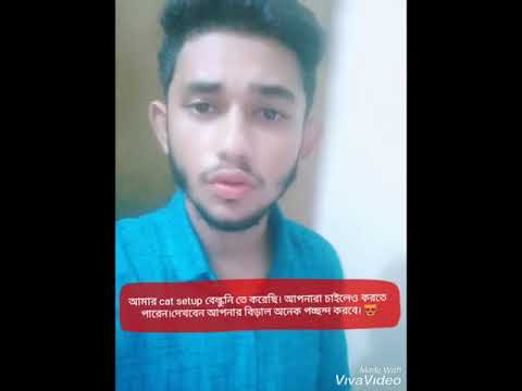 ভিডিও: কিভাবে একটি বিড়াল আঙ্গিনা সেট আপ