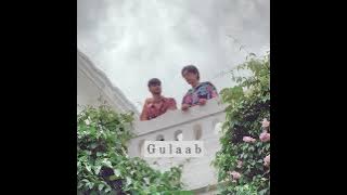 MITRAZ - Gulaab