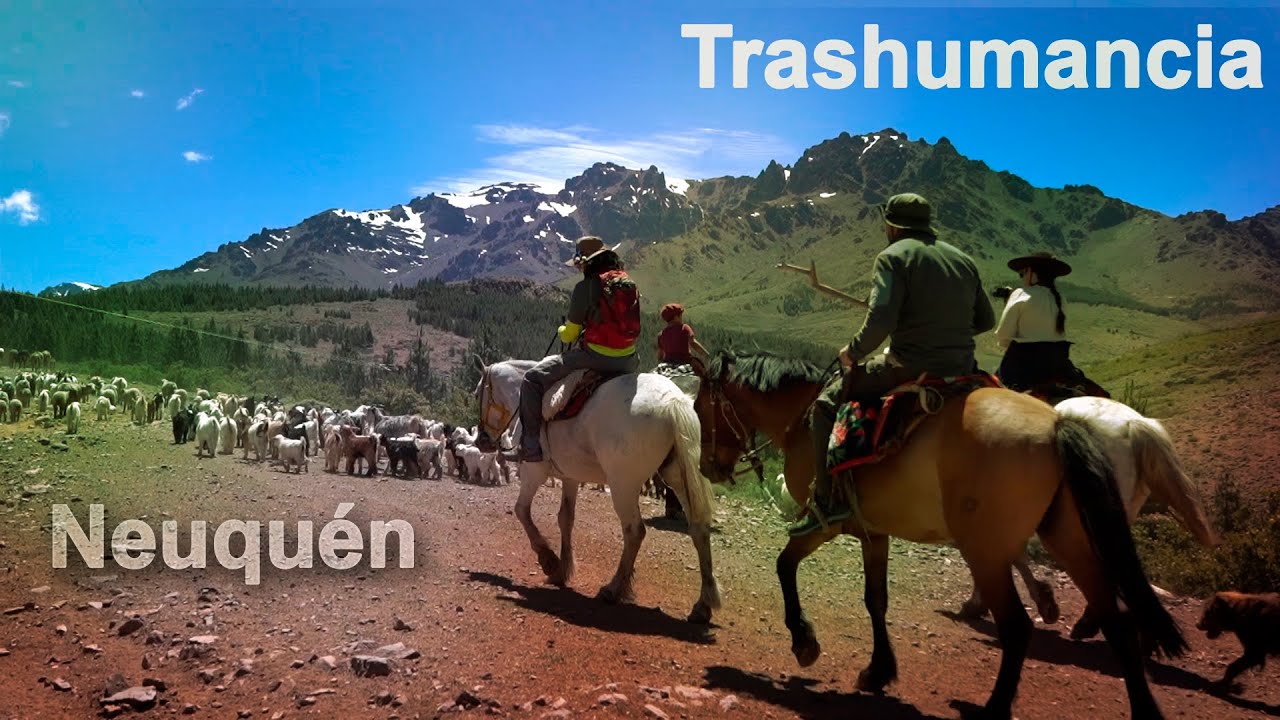 324 Trashumancia en Neuquén - Estancias y Tradiciones