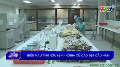 Hiến máu tình nguyện – nghĩa cử cao đẹp đầu năm