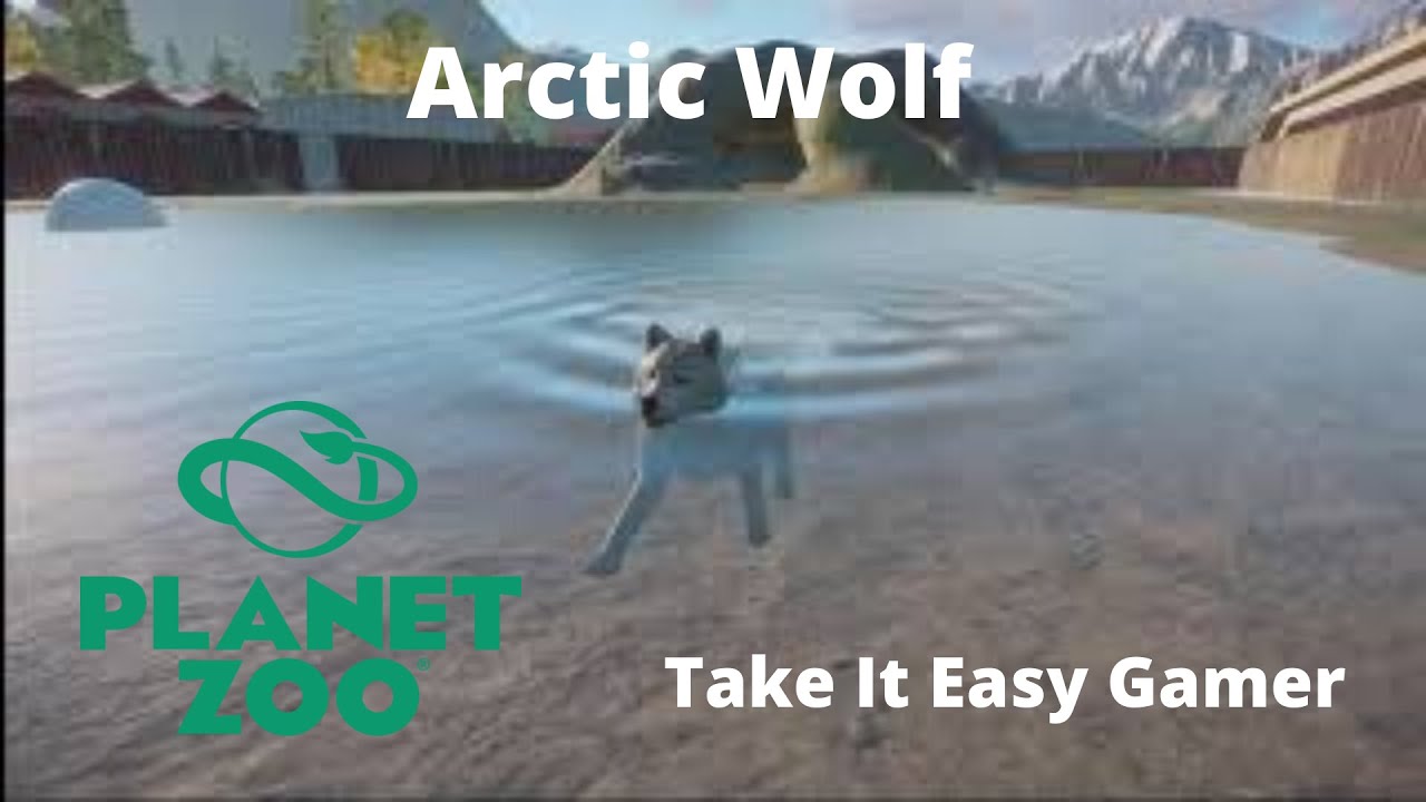 Planet Zoo Arctic Wolf Habitat Feeding And Enrichment YouTube planet-zoo-arctic-wolf-habitat-feeding-and-enrichment-youtube