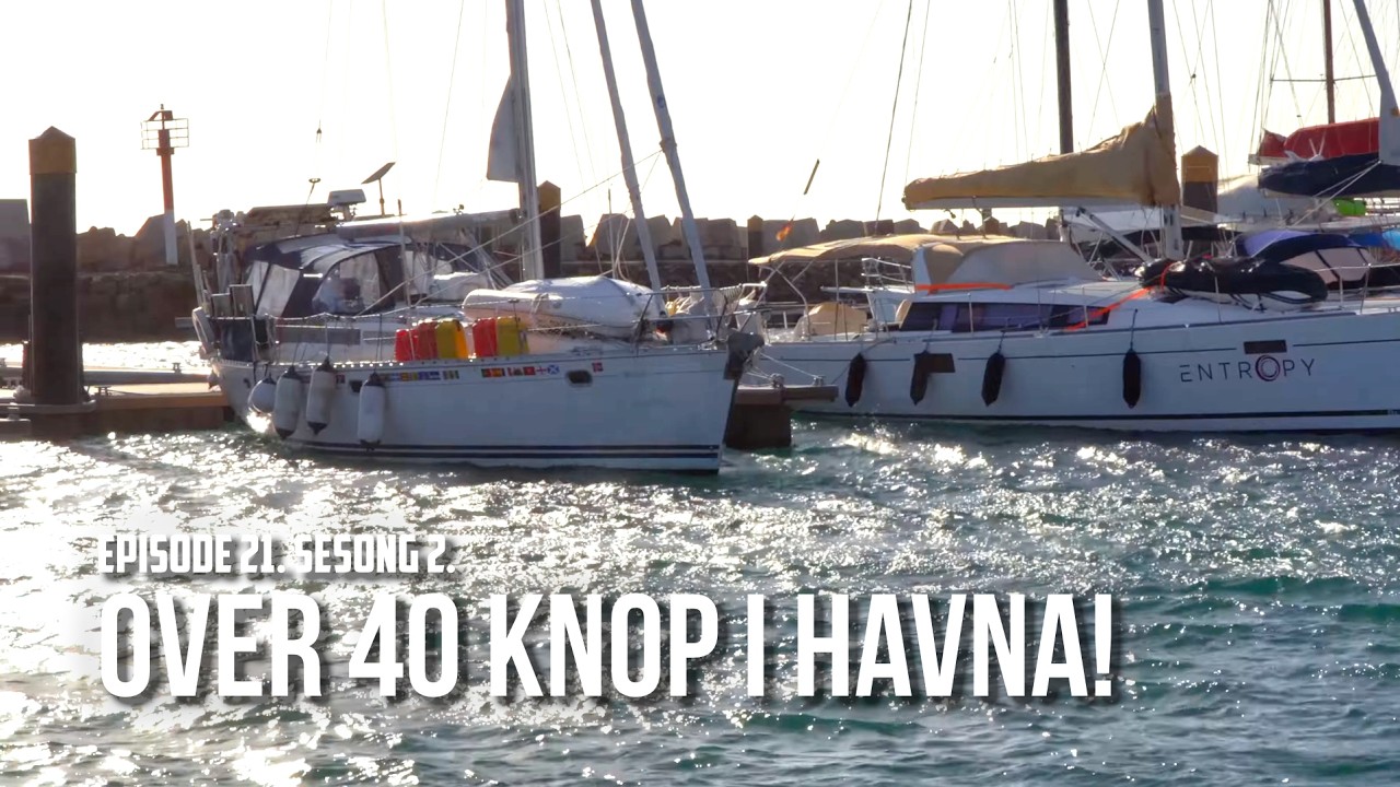 Over 40 knop i havna! Episode 21 sesong 2 [32]