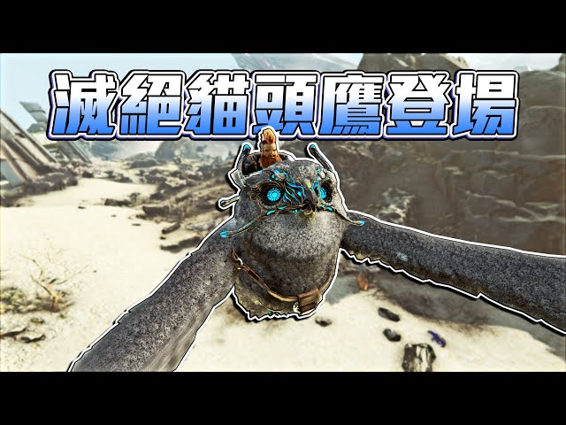 馴服ARK貓頭鷹！雪鴞是我的最愛！恐龍世界的渣男！【方舟滅絕 ARK】EP.2