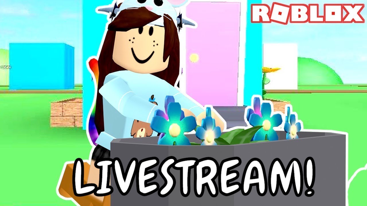Roblox Live Streams Meepcity