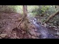 Rocky Journeys: Maunawili Falls Hike