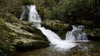 An Early Spring Hike, Great Smoky Mountains National Park by Smokies Life 10,967 views 4 years ago 1 minute, 47 seconds