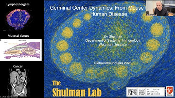 "Germinal Center Dynamics: From Mouse Models to Human Disease" by Dr. Ziv Shulman